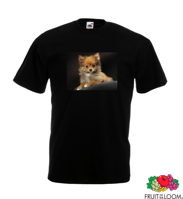Kiskutya1
