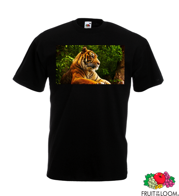 Tigris