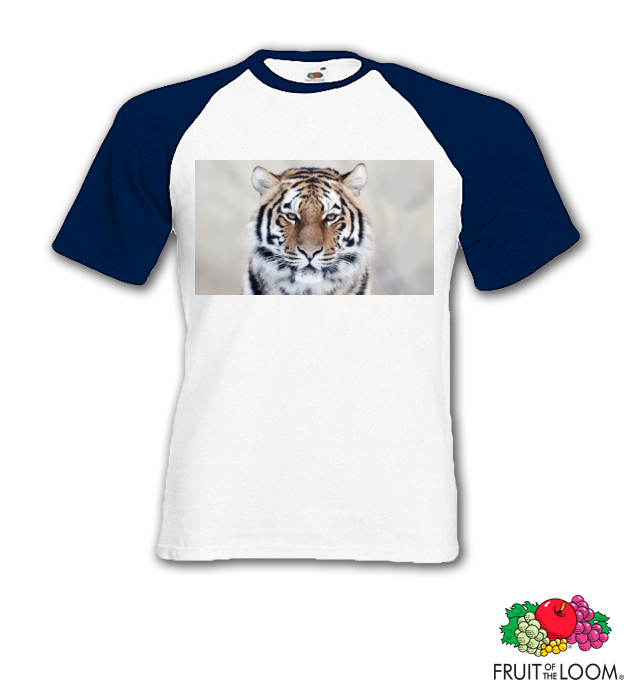 szibériai tigris