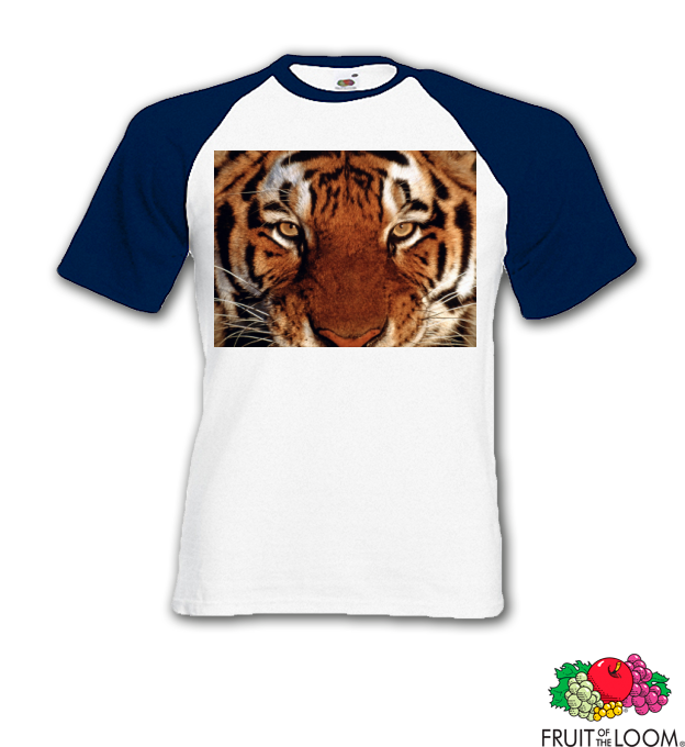 tigris közelről