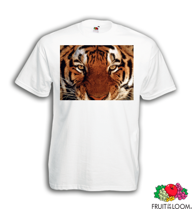 tigris közelről
